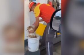 Empleado estaba refrescando a un perrito por las altas temperaturas y el hermoso gesto quedó grabado