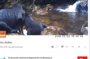 279122_Foto: Captura video YouTube