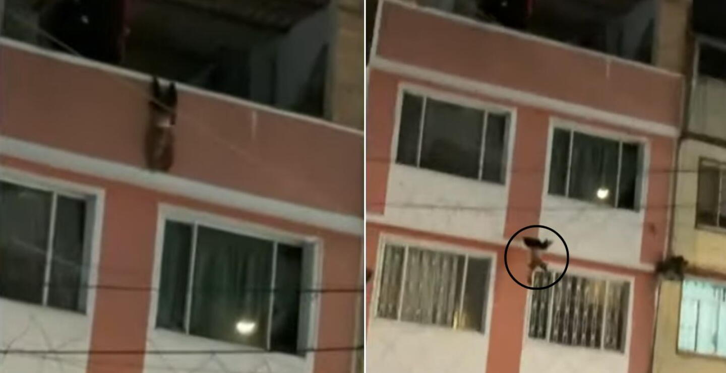 Quedó en video: niño de 2 años cayó desde un cuarto piso en el barrio La Gaitana, en Suba