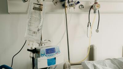 Hospitalizados por fiebre amarilla. 