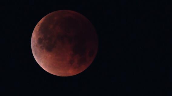 10656_franzLa Kalle - Eclipse total de luna - Foto AFP 10656_franzLa Kalle - Eclipse total de luna - Foto AFP