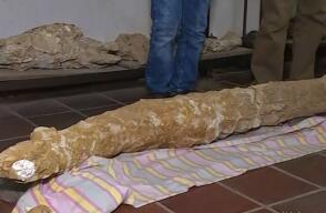 Investigan posible hallazgo arqueológico en Los Patios, Norte de Santander