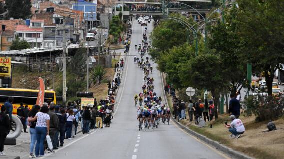 Pelotón de ciclista durante la edición 2024 del Tour Colombia Pelotón de ciclista durante la edición 2024 del Tour Colombia
