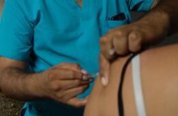 Vacuna contra la fiebre amarilla. 