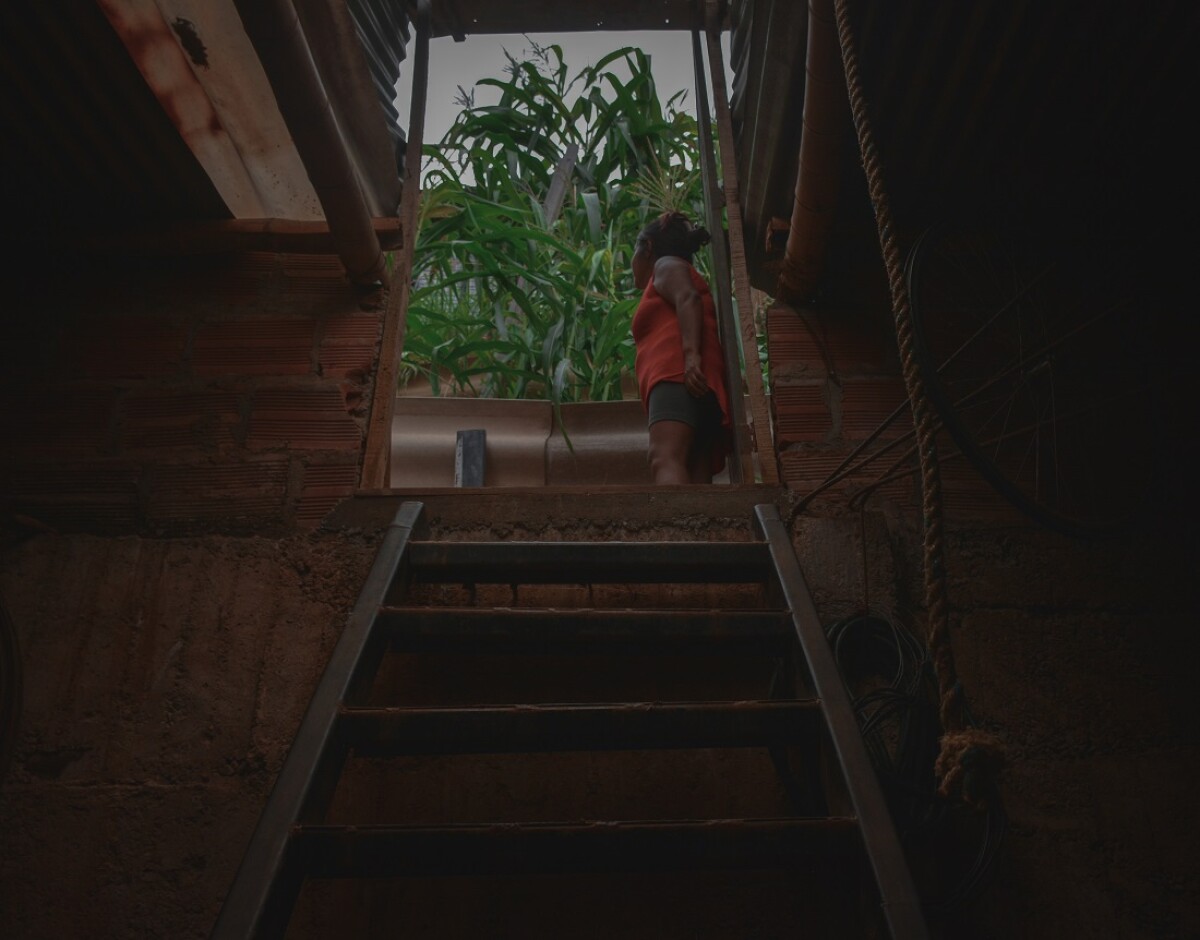 HUERTAS COMUNITARIAS COMUNA 18 DE CALI FOTO MARIO BAOS (15).jpg