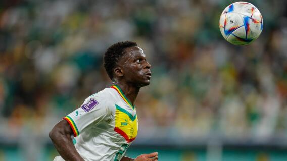 Senegal Vs Catar, grupo A Mundial Qatar 2022 Senegal Vs Catar, grupo A Mundial Qatar 2022