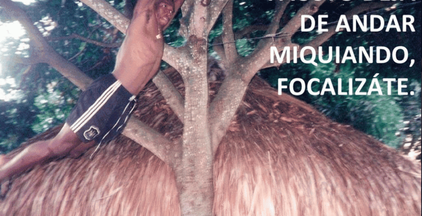 55750_5c7fc9f2fd9a5734881fb12e5daf7206.gif