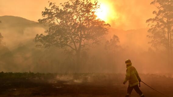 348127_BLU Radio. Incendios en Australia // Foto: AFP 348127_BLU Radio. Incendios en Australia // Foto: AFP