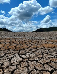 353837_El 2019, año más caluroso de la historia / Foto: AFP