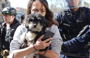 330576_Blu Radio // Emergencia mascotas // Foto: AFP