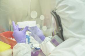 367365_coronavirus_ruta_n_10