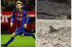 272907_Goal.com y AFP