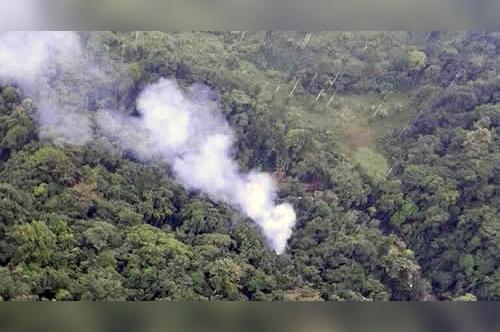 2344_Incendio forestal, Necoclí, Antioquia / Foto: Policía Nacional