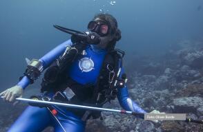 347642_130819_malpelo.jpg