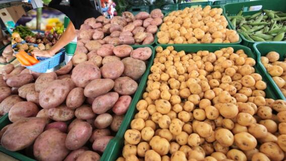 Le contamos los precios de la papa  Le contamos los precios de la papa