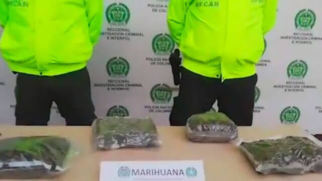 Capturan a rectora y una docente tras hallar 4.000 dosis de marihuana en un colegio