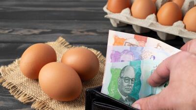 Precio del huevo en 2026