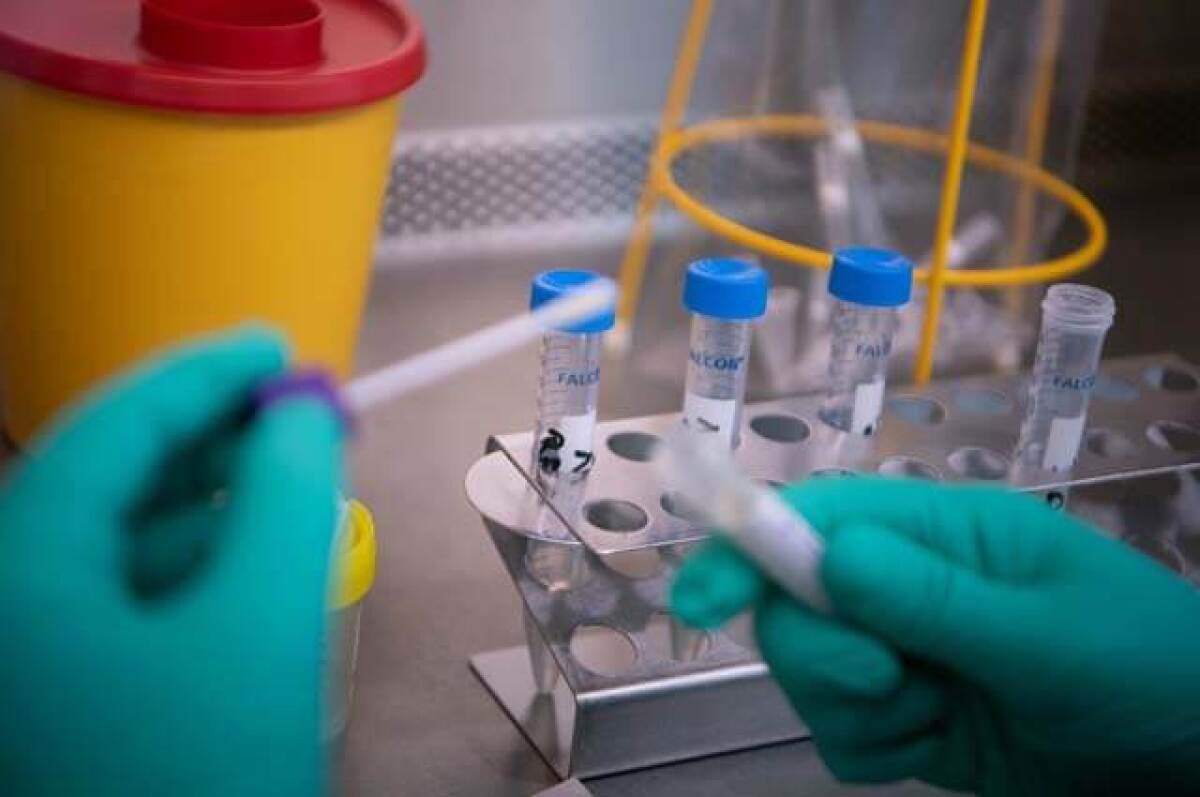 ecuador_descarta_coronavirus.jpg