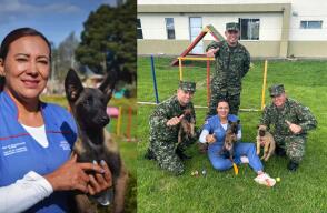 Luz Mary Castro y su equipo: criando héroes caninos para el Ejército Nacional