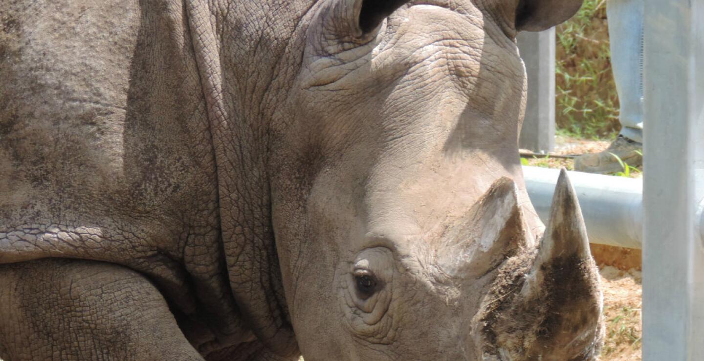 141837_Foto: Parque Ukumari