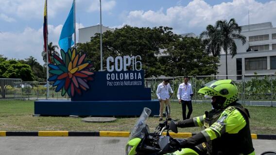 Colombia será sede de la COP16 de Biodiversidad del 21 de octubre al 1 de noviembre.