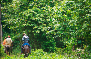 337303_BLU Radio // foto referencia / Foto: restituciondetierras.gov.co