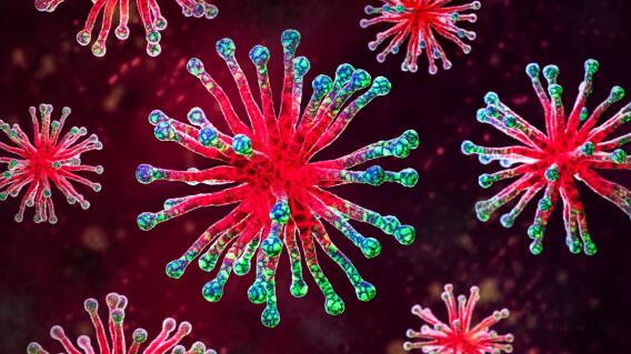 Virus metapnehumovirus se propraga china.jpg Virus metapnehumovirus se propraga china.jpg
