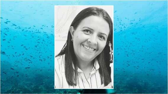 Lo que se sabe sobre turista que murió en Santa Marta tras participar en clase de buceo Lo que se sabe sobre turista que murió en Santa Marta tras participar en clase de buceo