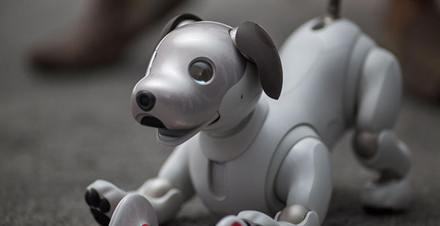 aibo-afp.jpg