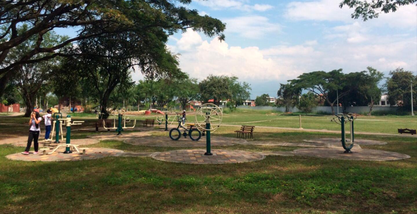 bosque-palmira-3.jpg