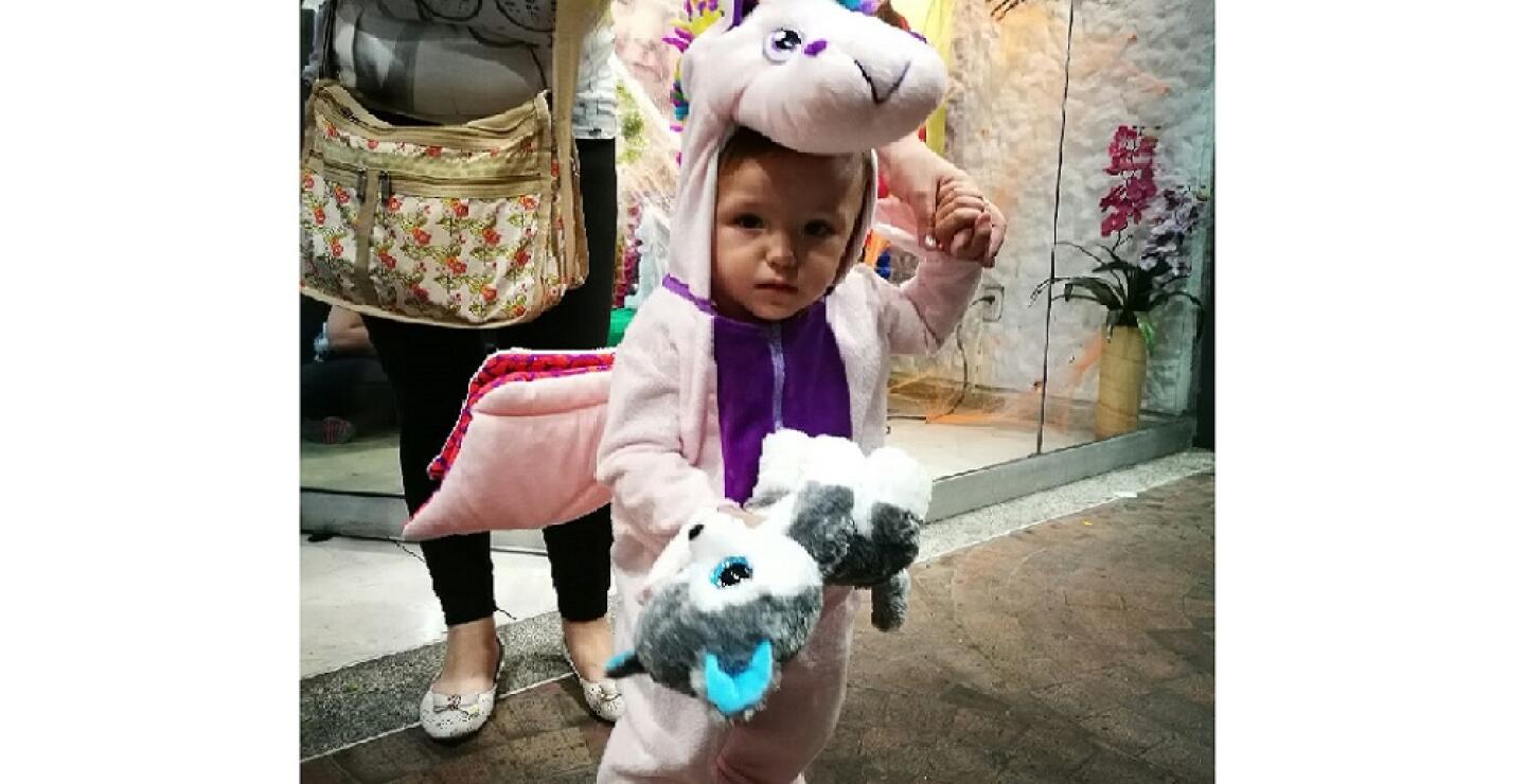 272561_Unicornio - Foto autorizada