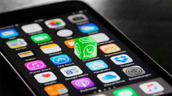 whatsapp_13.jpg