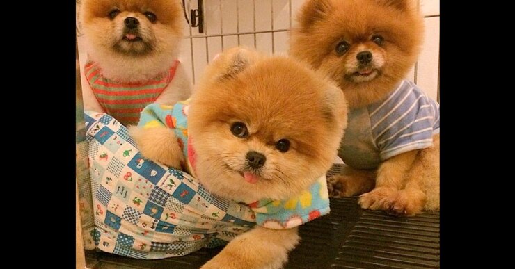 the_family_gang12.jpg
