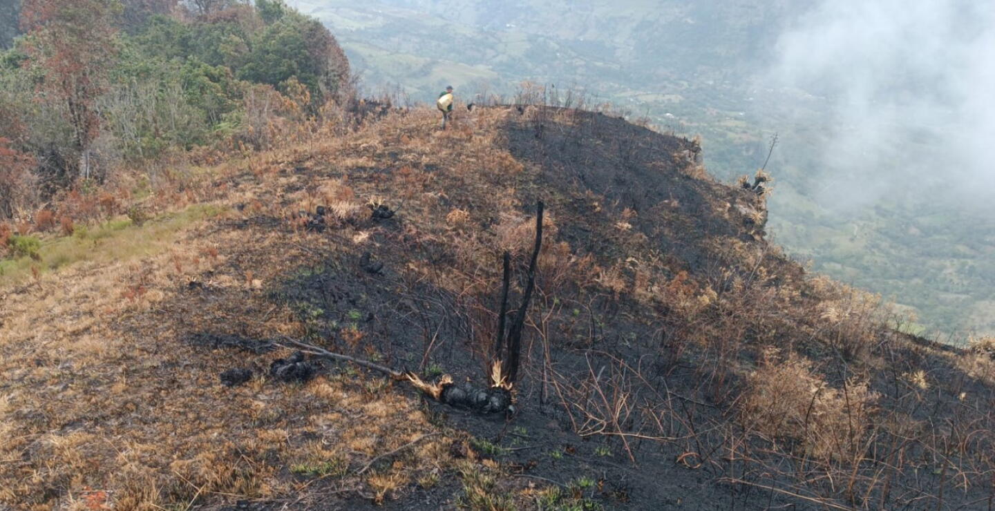 Bosque nativo y parte de Páramo consumido por las llamas en Santander.jpg