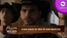 Juan David se irá de San Marcos para evitar a Samuel en Pasión de Gavilanes.