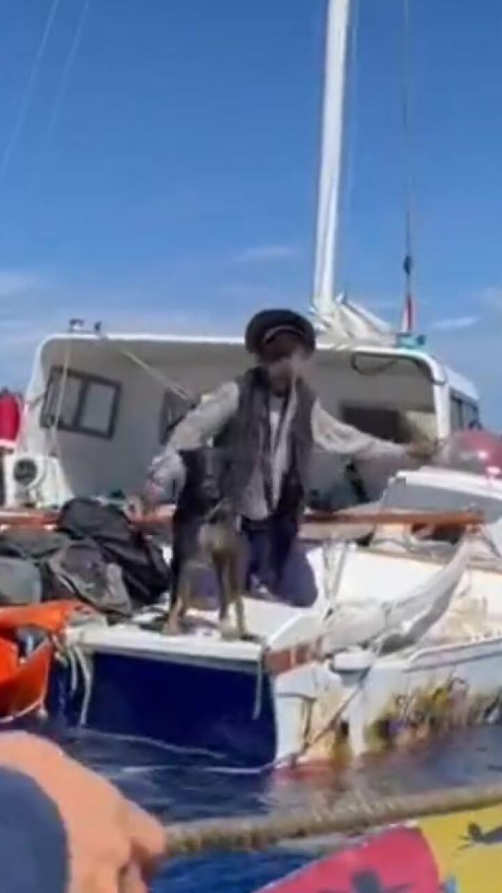 ¿Por qué el náufrago australiano encontrado en el Pacífico regaló a la perrita que lo acompañó?