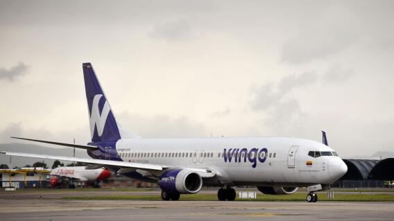 Wingo Wingo