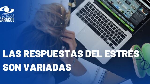 ¿Qué es el estrés y cuáles pueden ser sus síntomas? ¿Qué es el estrés y cuáles pueden ser sus síntomas?