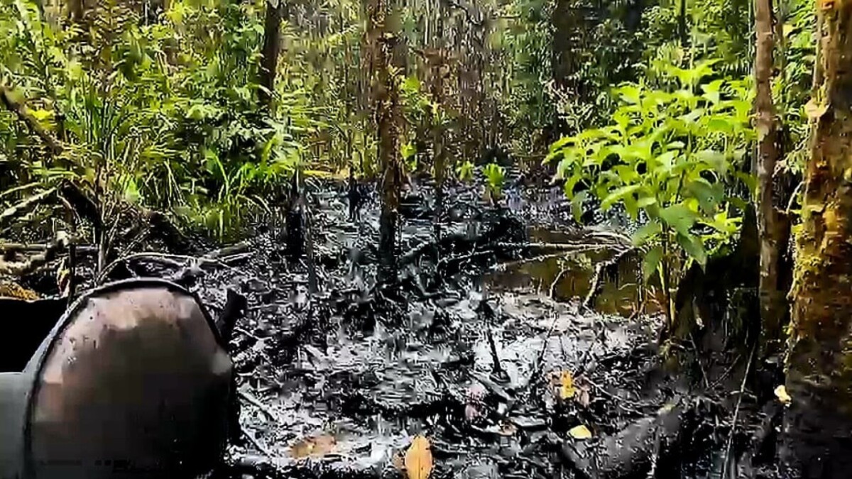 Emergencia ambiental: disidencias instalaron 52 válvulas para robar crudo en Nariño - BluRadio