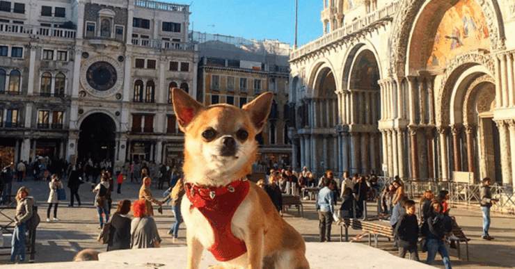 miami_1.gif