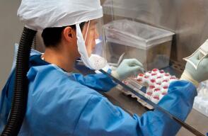 laboratorio_1.jpg