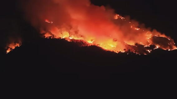 Grave incendio forestal en Sabana de Torres.