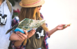 Viajar