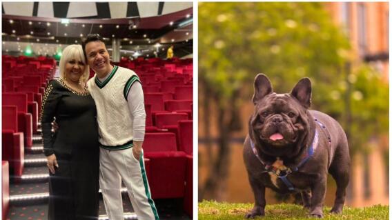 Polilla dice que el perrito de La Gorda Fabiola “está triste porque no la ha vuelto a ver”