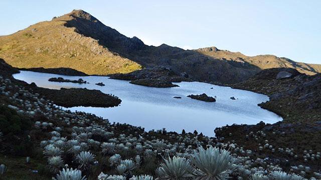 Páramo de Santurbán tendrá nueva delimitación, anuncia Ministerio de Ambiente 