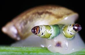 362313_caracol970.jpg