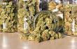 14754_La Kalle - Maquina de cannabis - Foto: Getty Images