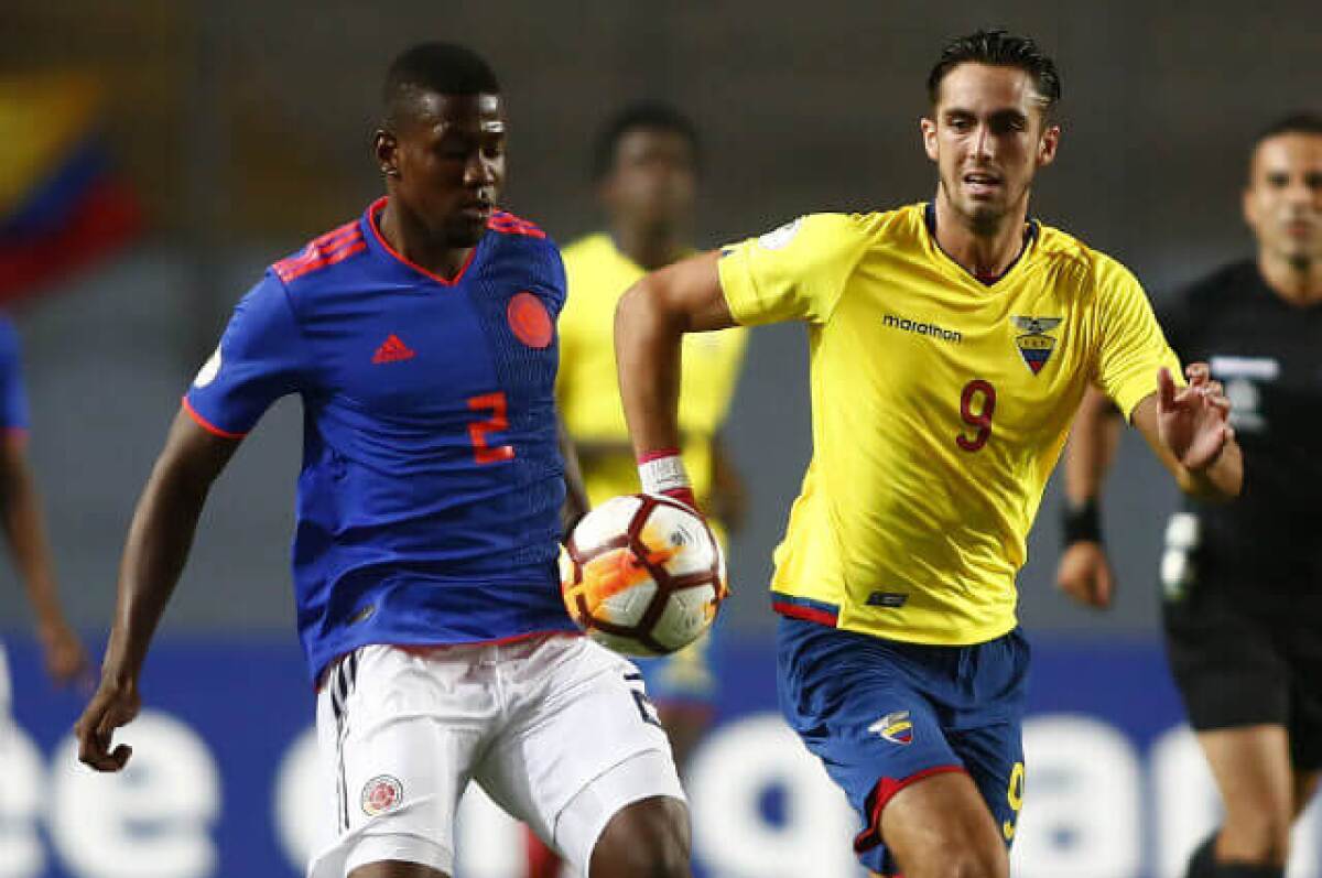 296466_leonardocampanaecuadorcolombia040219afpe.jpg