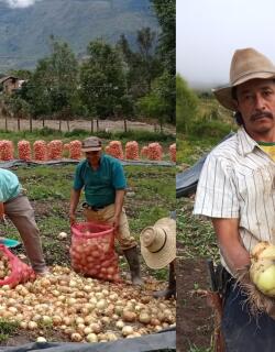 Campesinos de Guaca Santander.jpg