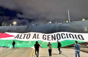 Presidencia habría solicitado a Millonarios ingreso de enorme bandera de Palestina